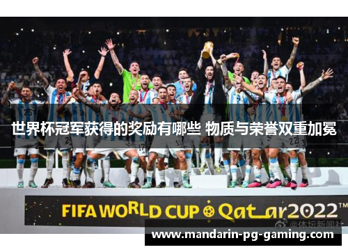 世界杯冠军获得的奖励有哪些 物质与荣誉双重加冕