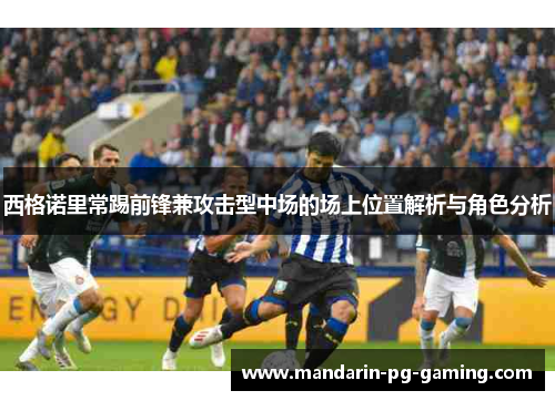 西格诺里常踢前锋兼攻击型中场的场上位置解析与角色分析